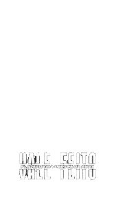 VALE FEITI X2 (1)